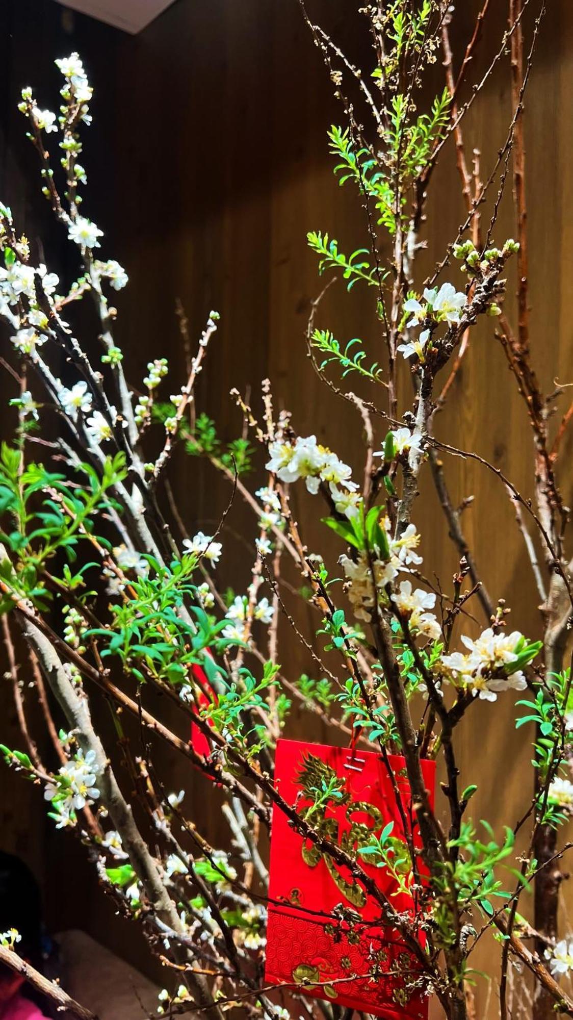 Rosa Zen Hotel Spa 胡志明市 外观 照片